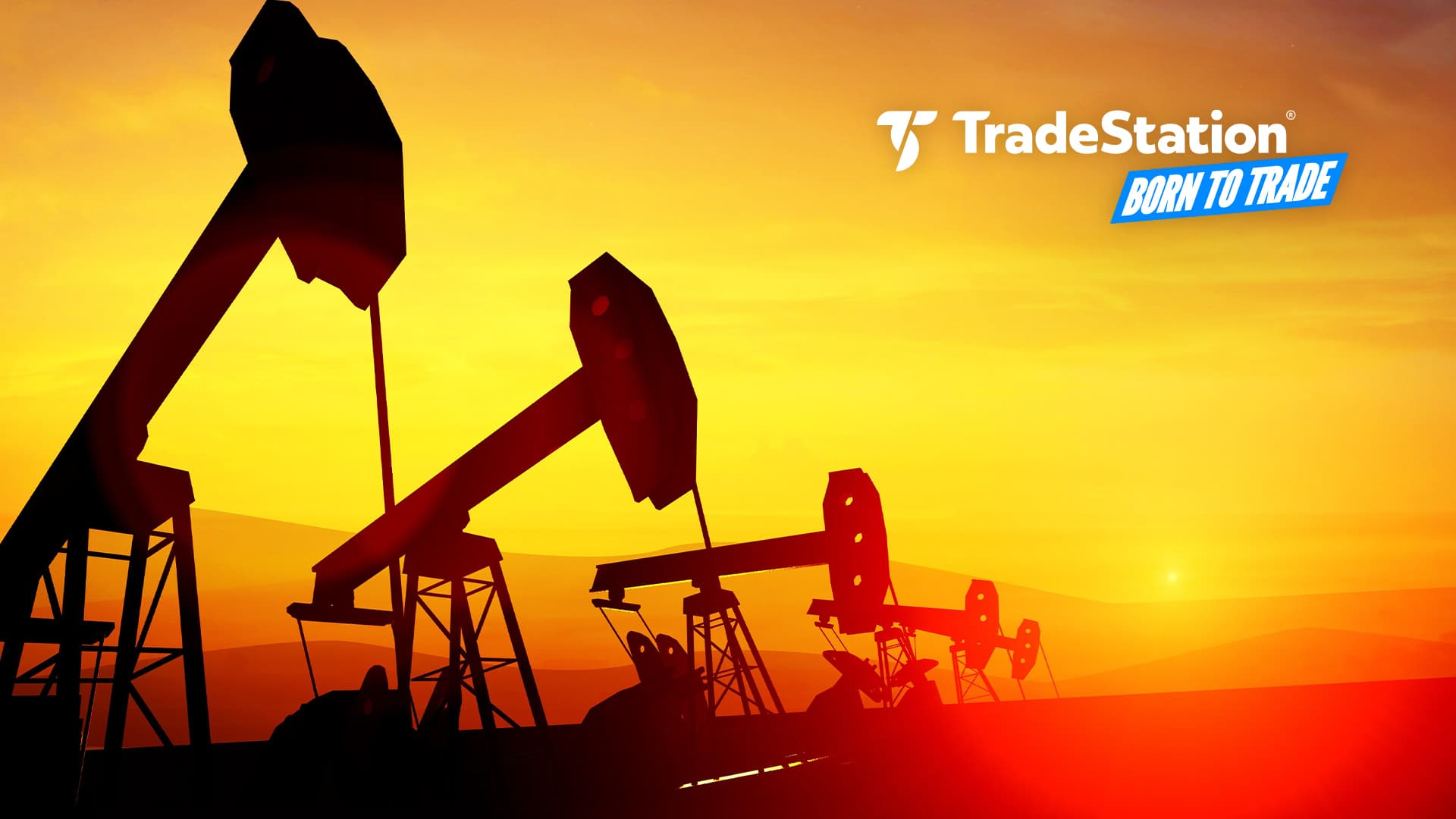 oil-TS-BBT-120080918.jpg