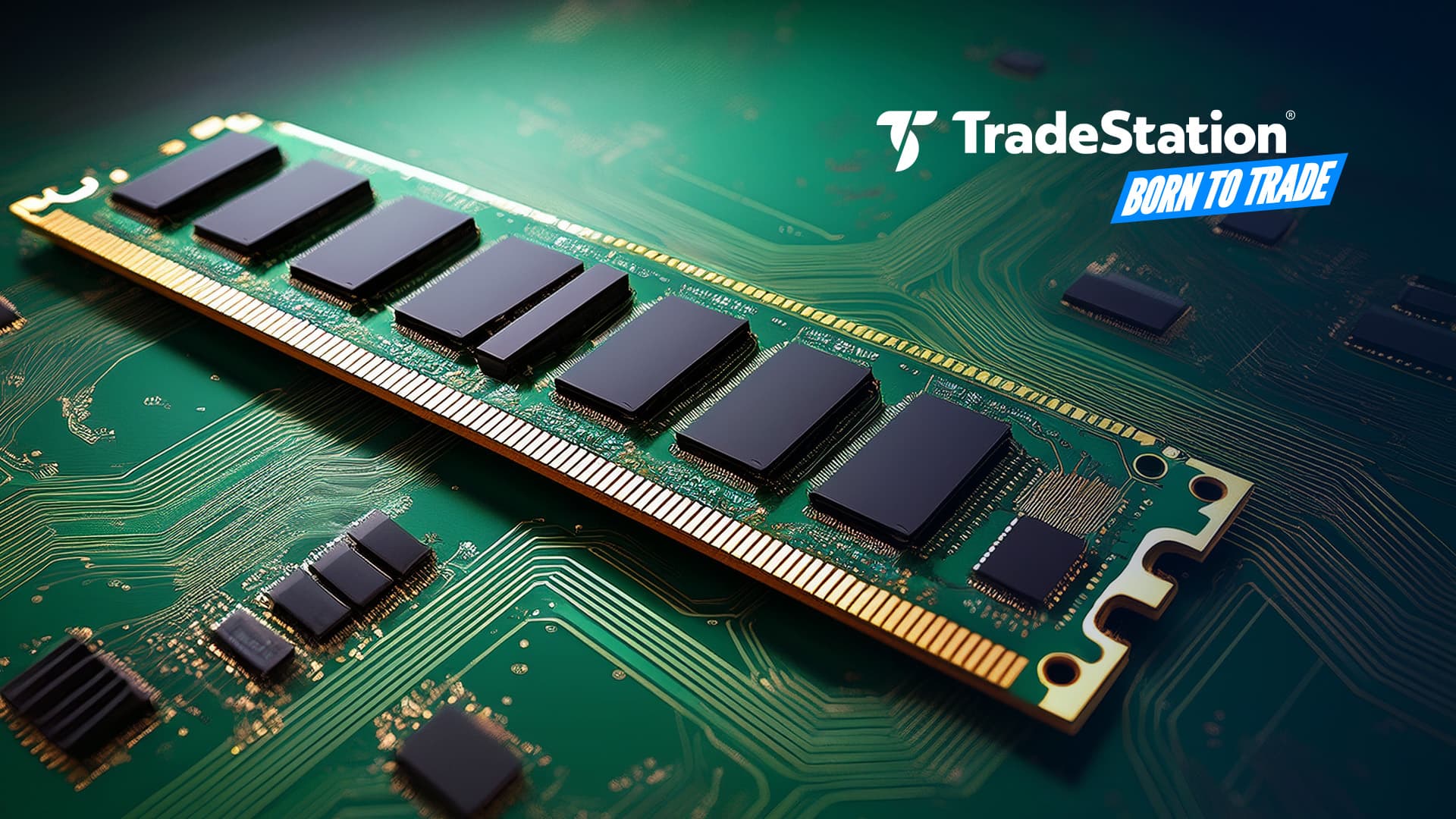 memory_chips_semiconductors_BTT_1690966556.jpg